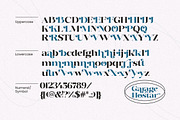Garage Hostar - Display Font, a Serif Font by Megatype (Thumbnail 11 of 11)