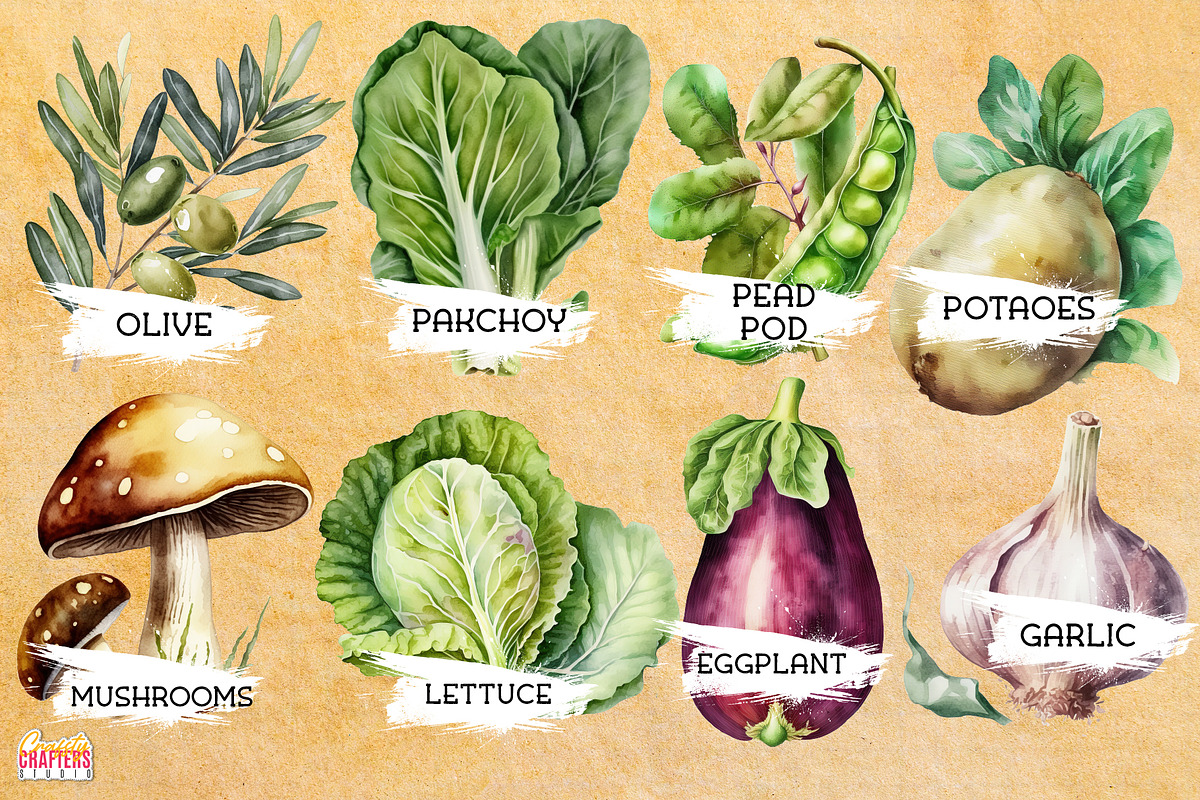 55 Vegetables Watercolor Clipart PNG, a Graphic by Craftsy Crafters (Photo 3 of 6)