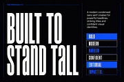 Nexora Sans – Bold Display Font, a Slab Serif Font by Wow Magic (Thumbnail 3 of 4)