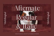 Hamster Modern Serif Font, a Serif Font by Letterena Studios (Thumbnail 12 of 15)