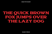 Skilens - Display Serif Typeface, a Serif Font by Comactype Foundry (Thumbnail 18 of 20)