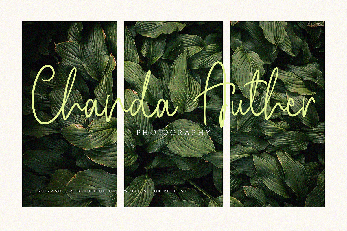 Bolzano - A Beautiful Script Font preview 5
