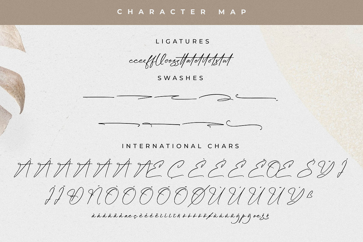 Asthelica Questak Modern Font Duo, a Serif Font by Storytype Studio (Photo 12 of 15)