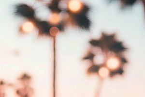 Blurry out-of-focus palm trees at su, a Photo by Dvoevnore photos