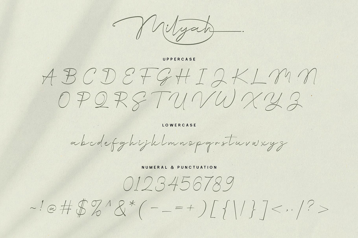 Milyah Signature Script font, a Script Font by alit design (Photo 5 of 15)