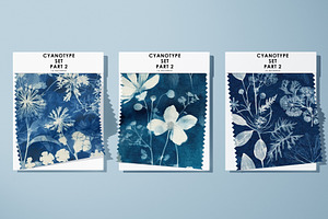 Cyanotype Botanical Set - Part 2