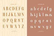 Aslin Alodian | Modern Display Serif, a Serif Font by Denustudios (Thumbnail 13 of 15)