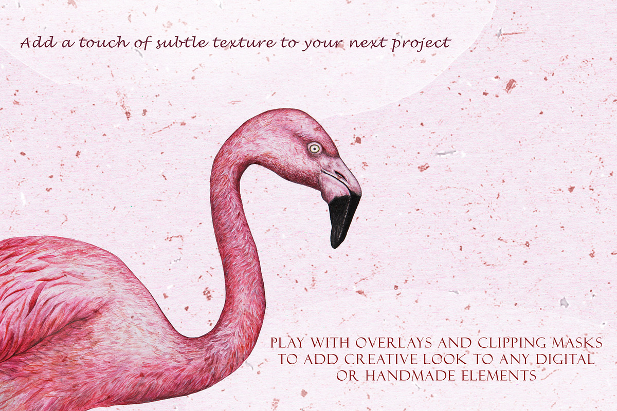 Crafty V.2 Elegant Textured Paper, a Texture Graphic by Liquid Amethyst Art (Photo 3 of 6)