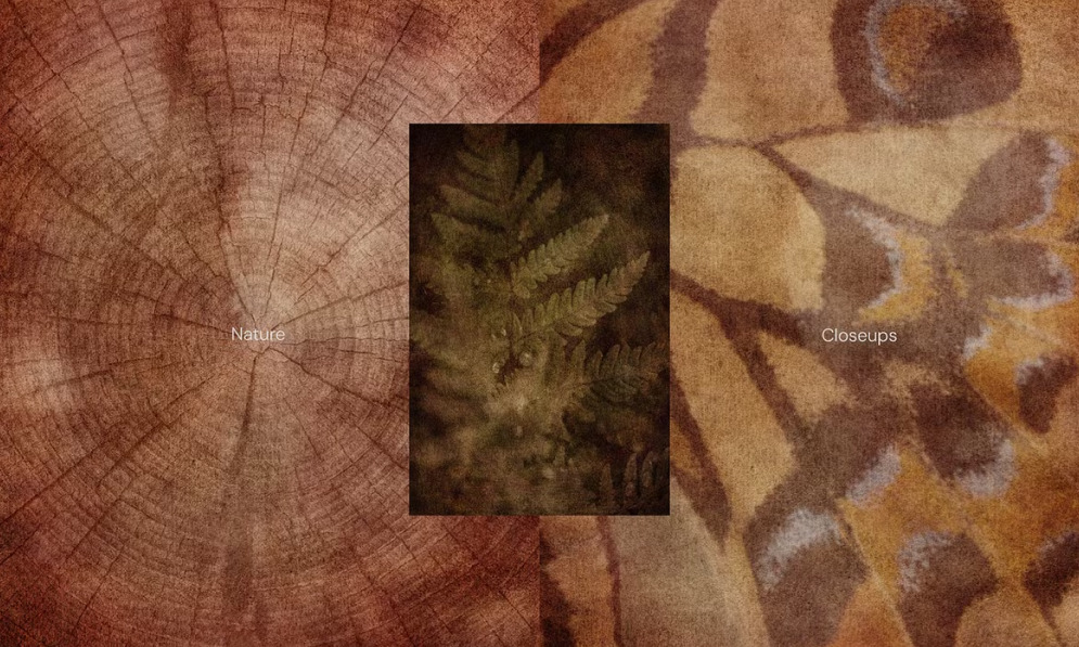 Earthy Autumn