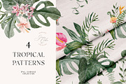 TROPICAL SUMMER- Exotic flora set, a Decorative Illustration by Grace Noboa Illustrations (Thumbnail 7 of 10)