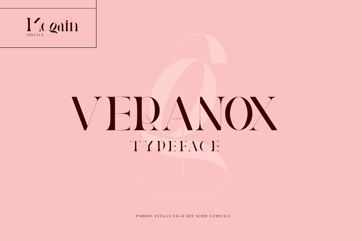 Megain Ligature Serif Typeface, a Serif Font by Humaira_std (Photo 10 of 14)
