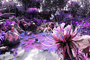 454 Infrared Fantasy Pro LUTs, a Preset Add-On by ShutterPro (Thumbnail 10 of 48)