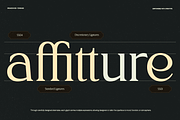 TRT Northem – Elegant Serif Font, a Serif Font by truetype (Thumbnail 13 of 15)