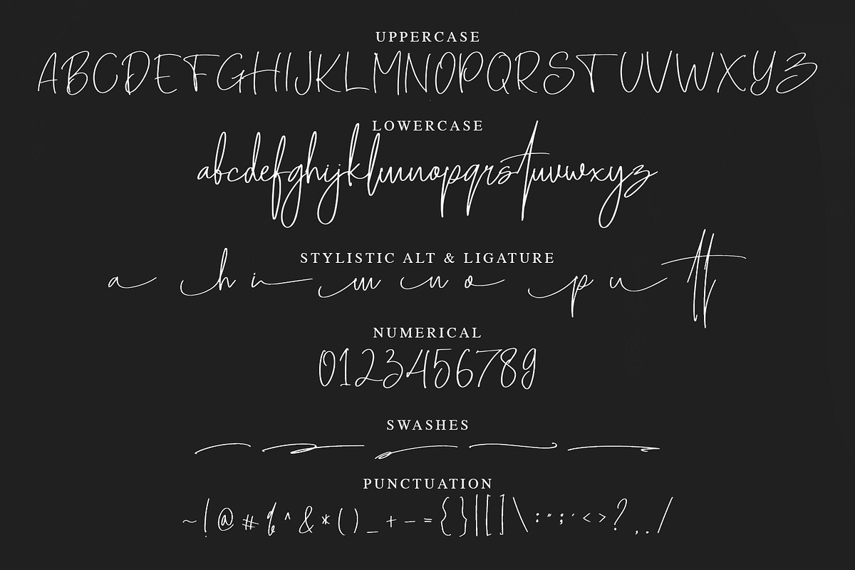 Senoteria - Signature Font, a Script Font by NTC Graphic (Photo 6 of 7)