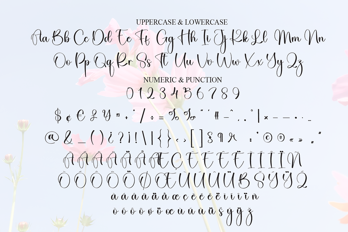 Beautyful | Script Font, a Handwritten Font by Scratchones (Photo 7 of 9)