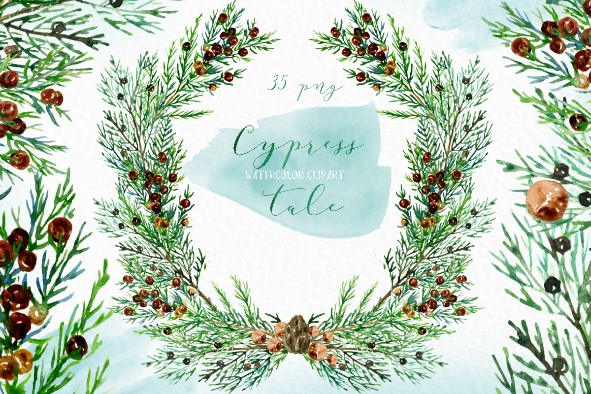 Cypress. Watercolor clipart, a Decorative Illustration by LABFcreations (Photo 4 of 12)