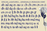 Gradually Reduced Font, a Serif Font by 177Studio (Thumbnail 6 of 7)