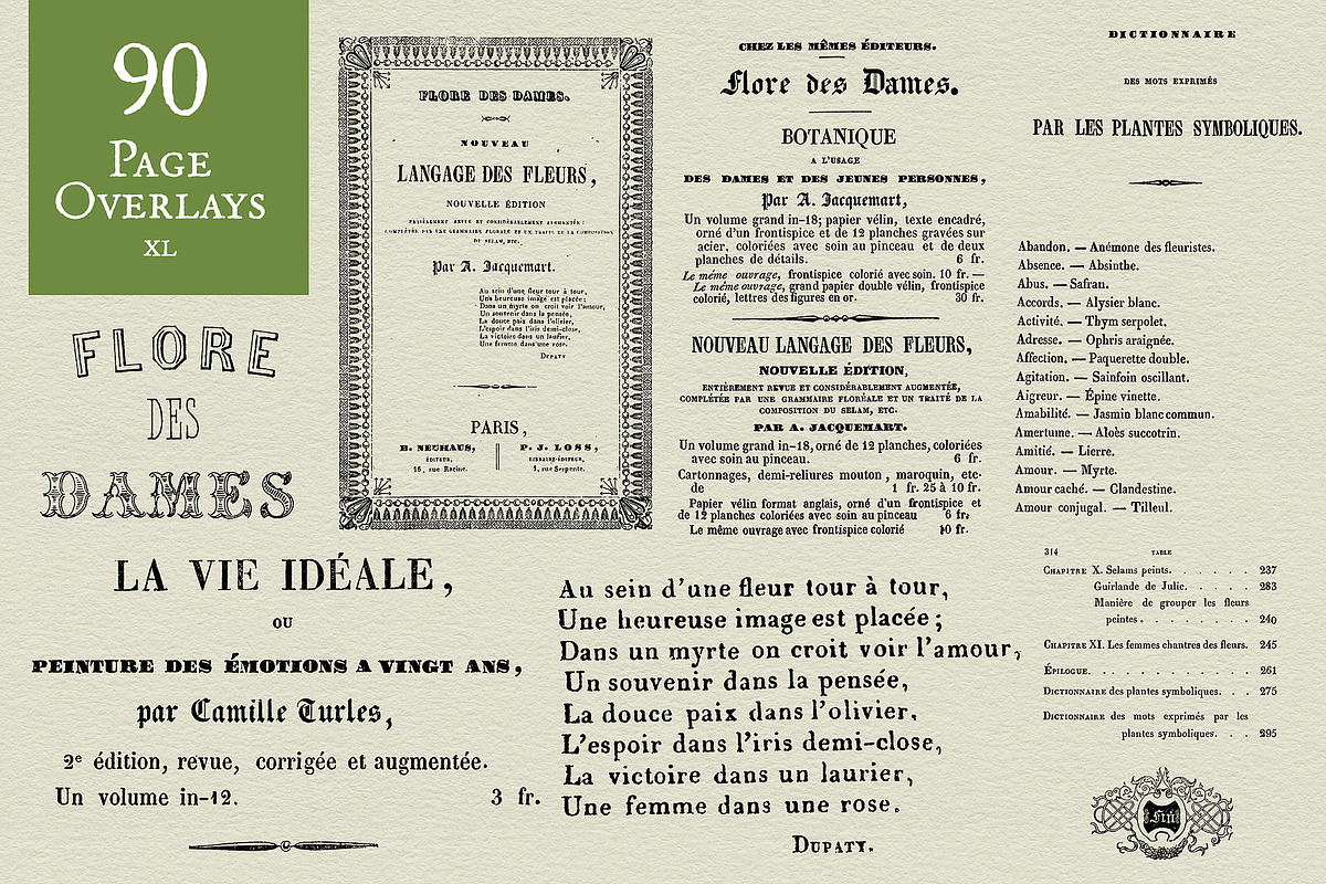 Flore des Dames Vintage French, an Illustration by French Kiss Collections (Photo 13 of 16)
