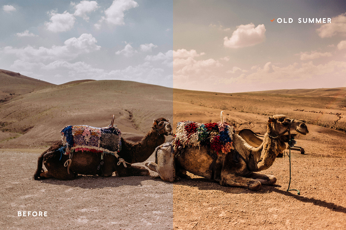 20 Travel Blogger Presets & Actions, an Action Add-On by Effect-Hub (Photo 16 of 16)