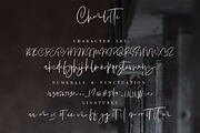 Charlotte | Handwritten Font, a Script Font by Megi Satyo Widodo (Thumbnail 9 of 9)