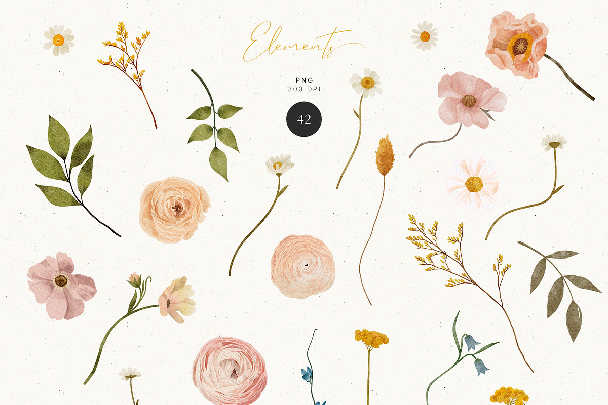 Bohemian Flower Collection, an Illustration by annartdreams (Photo 10 of 11)