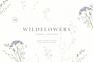 Wildflowers