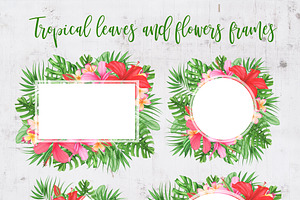 Tropical Leaves And Flowers Clipart