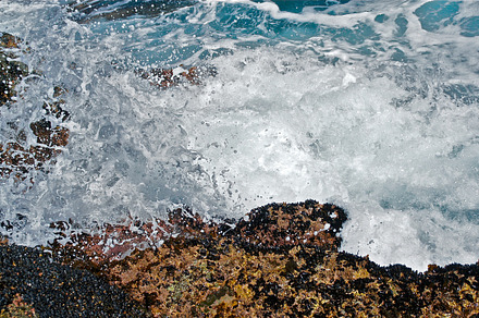 Undertow preview 6