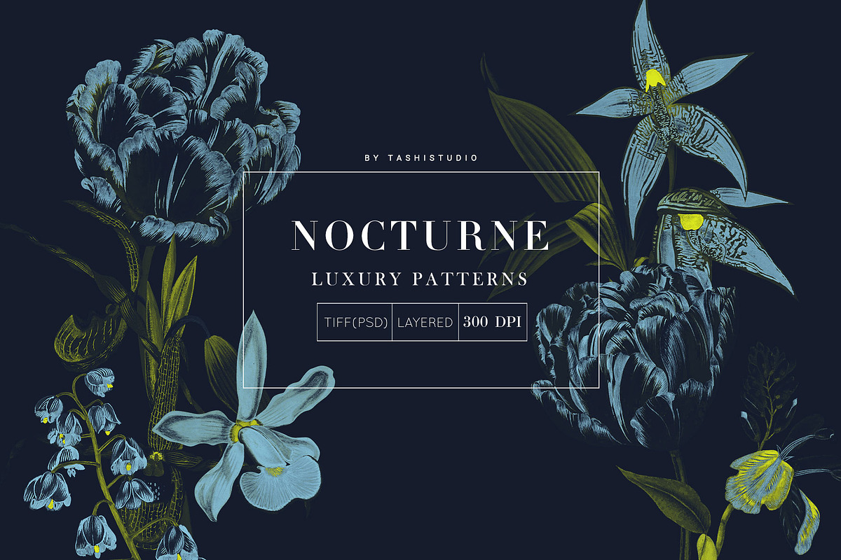 Nocturne luxury Prints & Motifs, a Pattern Graphic by TSTUDIO (Photo 1 of 10)