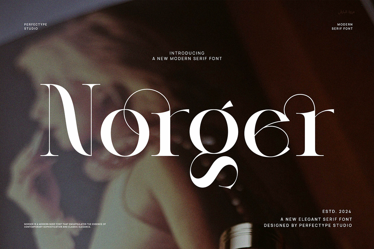 Norger Elegant Serif Font, a Sans Serif Font by Perfectype (Photo 1 of 8)