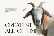 Akova Elegant Serif Font Typeface, a Serif Font by Perfectype (Thumbnail 4 of 7)
