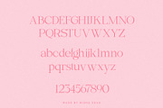 Beach Glamour - Summer Serif, a Serif Font by Misha Sova (Thumbnail 8 of 9)
