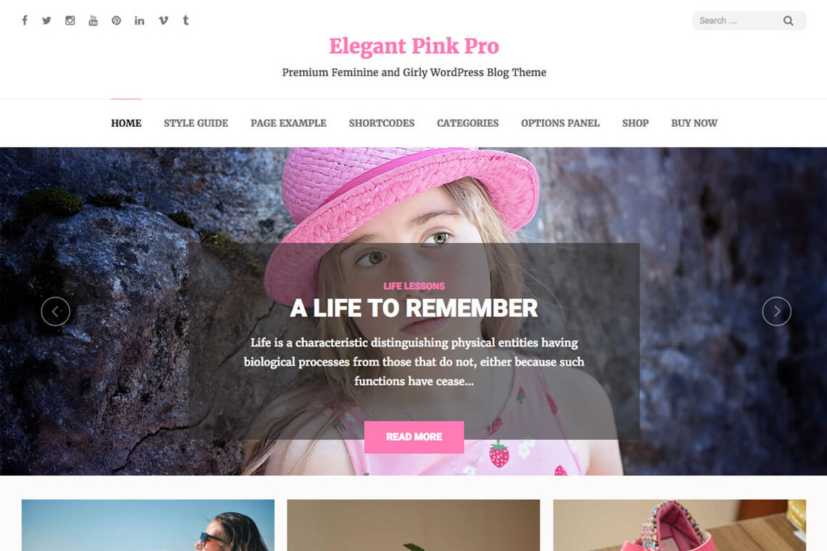 Elegant Pink Pro: Feminine Theme, a WordPress Template by Rara Theme