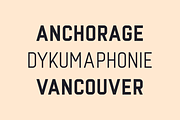 Manifest Type Family, a Sans Serif Font by Yasin Yalçın (Thumbnail 6 of 16)