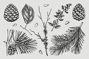 Winter Flowers Christmas Collection, a Seasonal Illustration by Yevheniia (Thumbnail 5 of 12)