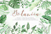 Botanica Watercolor Greenery Leaves, a Decorative Illustration by Momo Studio (Thumbnail 1 of 16)