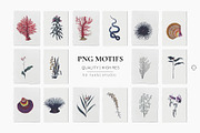 Ténèbres Curieuses Serpent Print, a Pattern Graphic by Pink Linen (Thumbnail 4 of 10)