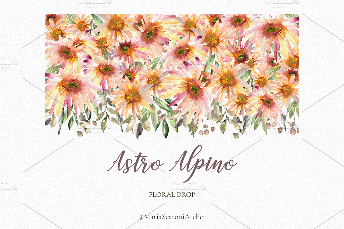 Astro Alpino - Watercolor Flowers, a Decorative Illustration by MariaScaroniAtelier (Photo 4 of 7)