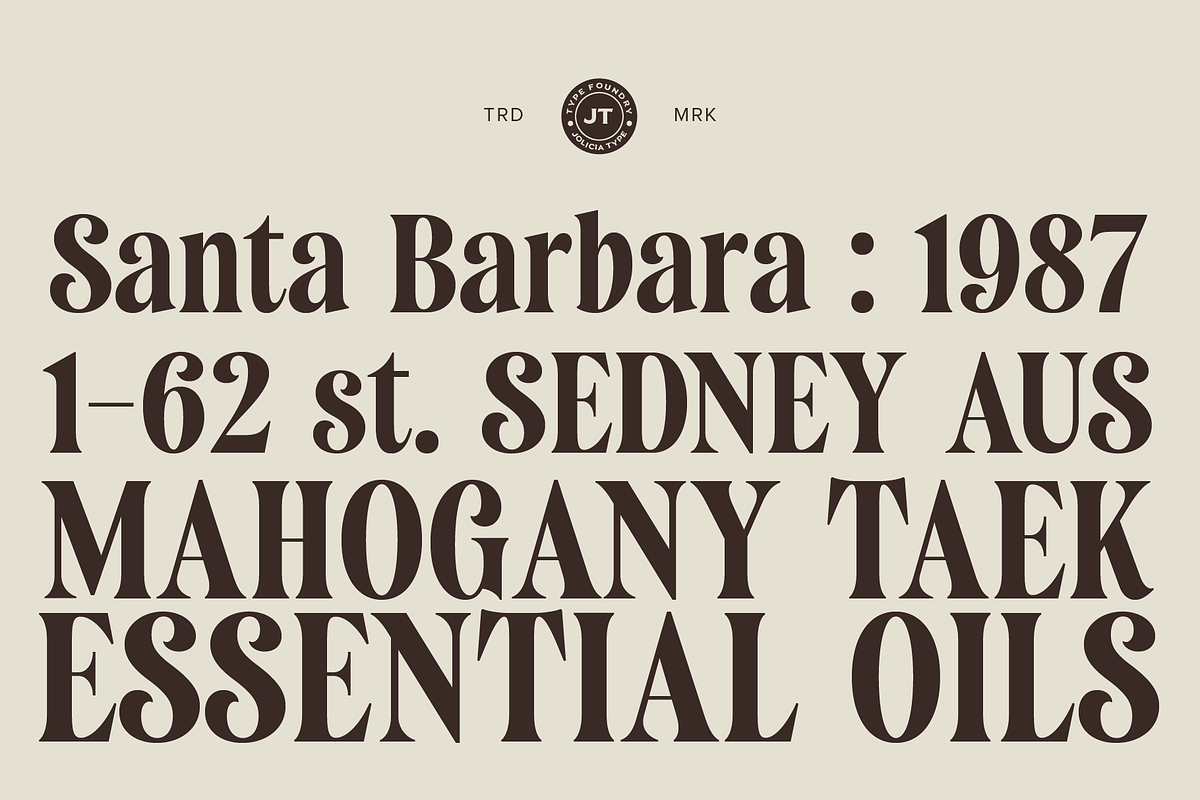Saneco | Display Serif, a Serif Font by Jolicia Type (Photo 5 of 12)
