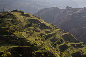 Green terraces on a mountain slope, a Technology Photo by Schreibikus