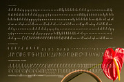 Delicately Stylish Handwritten Font, a Serif Font by stylishtype.co (Thumbnail 19 of 20)