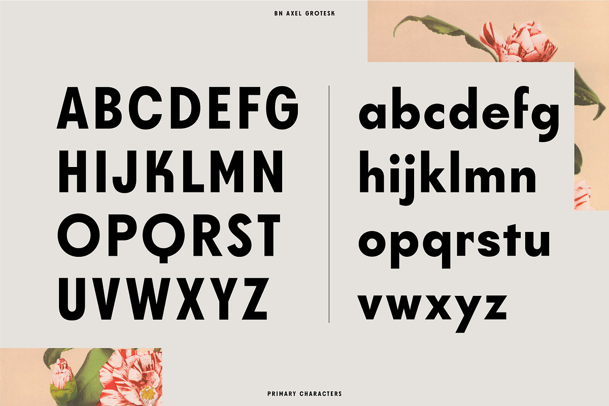 Axel Grotesk - A Sans Serif Typeface, a Sans Serif Font by Bnick (Photo 9 of 10)