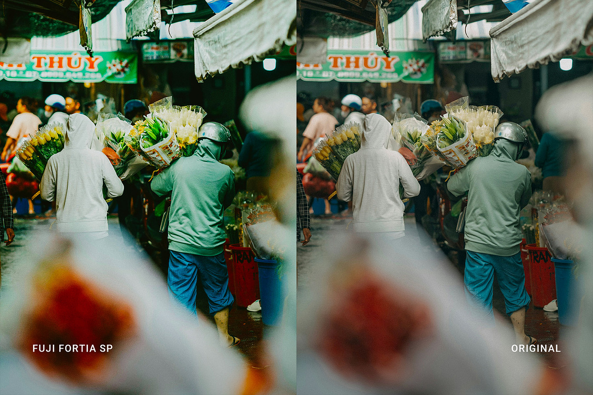 Fuji Fortia SP, a Preset Add-On by colorituals (Photo 4 of 8)