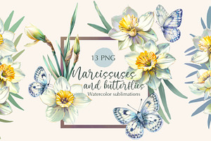 Narcissuses And Butterflies