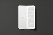 A5 Slim (7.4x21) Bi-Fold Brochure, a Print Template by professorinc (Thumbnail 3 of 8)