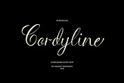 Cordyline - Handdrawn Script, a Script Font by Product Experience (Thumbnail 1 of 8)