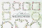 Watercolor set of wildflowers, an Illustration by RushkinaAntonina (Thumbnail 5 of 8)