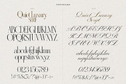 Quiet Luxury - Modern Serif & Script, a Script Font by AndrewPixelType (Thumbnail 10 of 10)