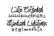 Metropolis Style - truly handwritten, a Handwritten Font by Cititype (Thumbnail 13 of 14)