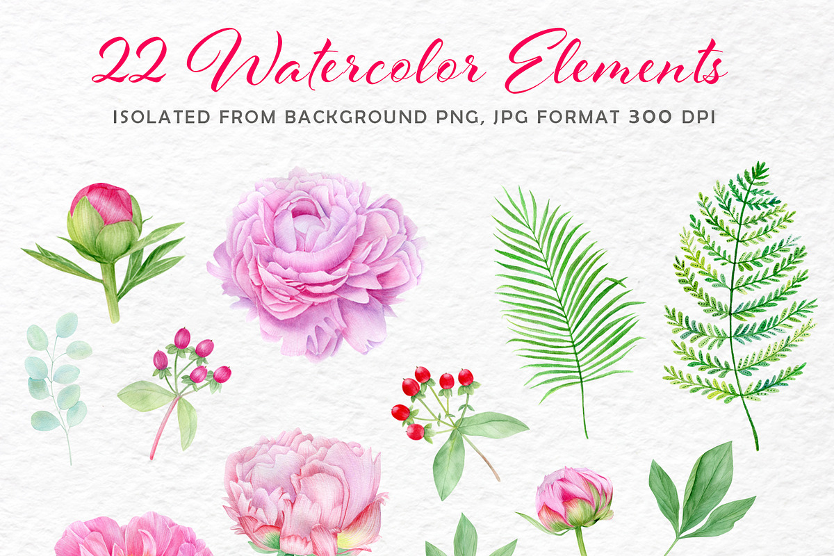 Watercolor pink peony illustrations, a Texture Illustration by svetodesign (Photo 2 of 11)